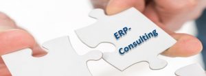 ERP_Consulting