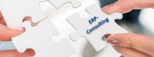 ERP-Consulting
