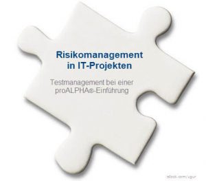 Risikomanagement in IT-Projekten - Testmanagement